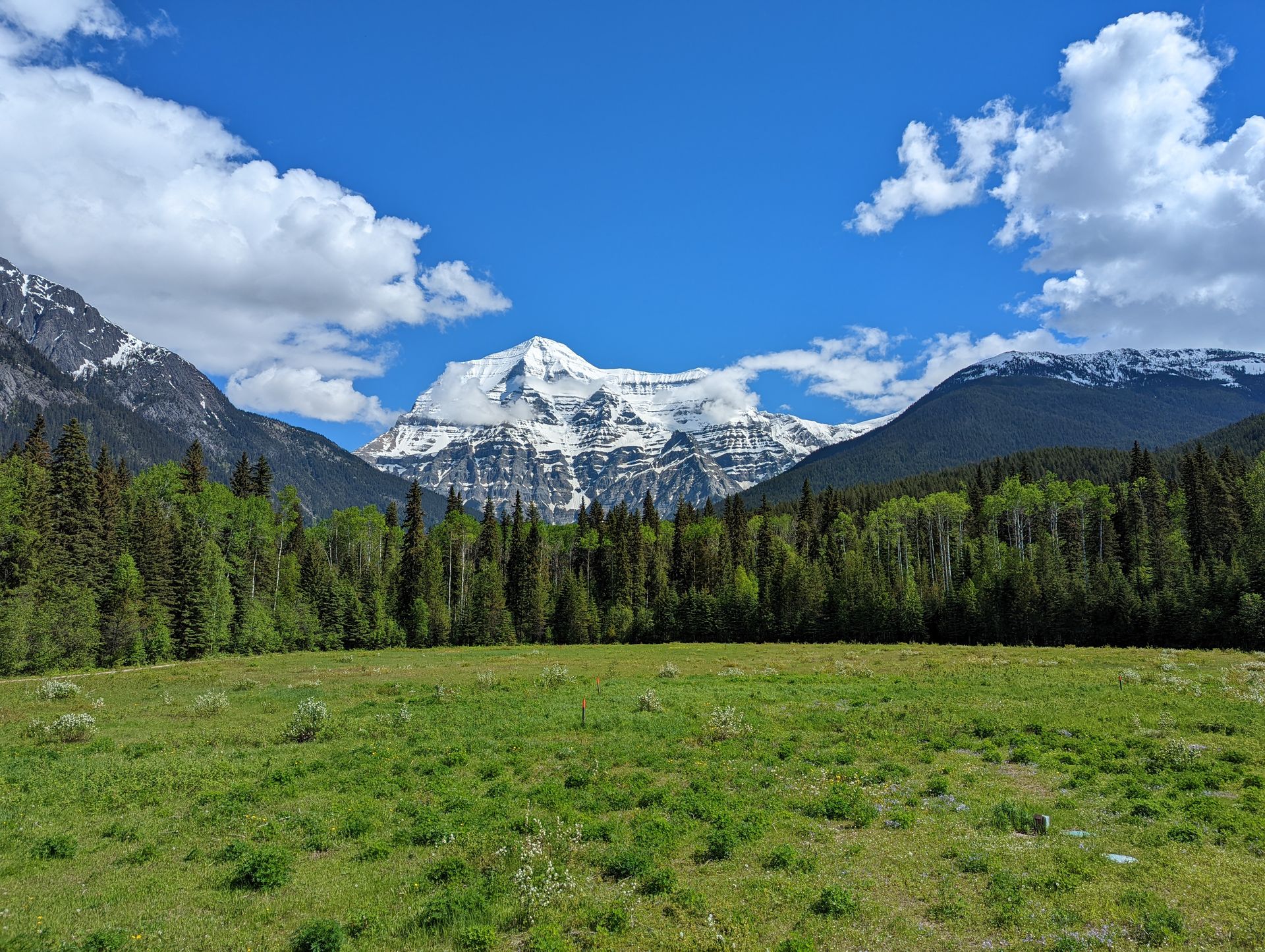View of Mount Robson